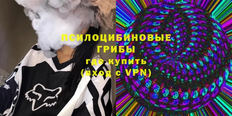 Галлюциногенные грибы Psilocybine cubensis  Краснознаменск 